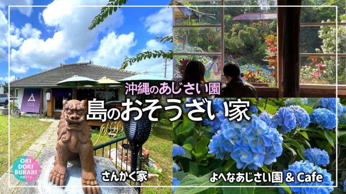 【沖縄Vlog】人気の多国籍料理店「島のおそうざい さんかく家」本格タイ料理店だった「タイカレー」も絶品!梅雨の人気観光地「よへなあじさい園」ご紹介【沖縄グルメ】【沖縄カフェ】【沖縄旅行】【沖縄そば】 【沖縄Vlog】人気の多国籍料理店「島のおそうざい さんかく家」本格タイ料理店だった「タイカレー」も絶品!梅雨の人気観光地「よへなあじさい園」ご紹介【沖縄グルメ】【沖縄カフェ】【沖縄旅行】【沖縄そば】
