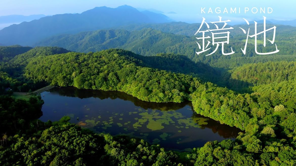 長野 鏡池 / Nagano Kagami Pond（癒し 自然 絶景 空中散歩 Japan Travel 4K Nature Relaxation）