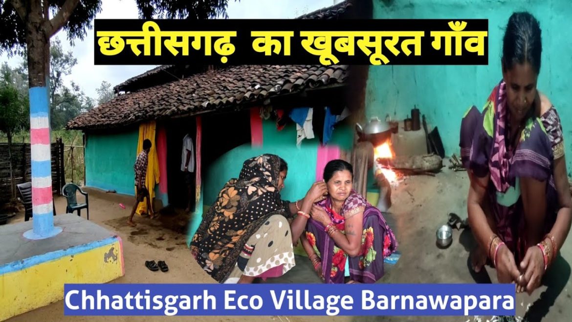 छत्तीसगढ़ का गाँव  जहाँ मिलेगा सुकून के पल  Eco Village Barnavapara Cg