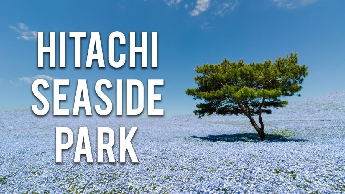A Day At Hitachi Seaside Park
