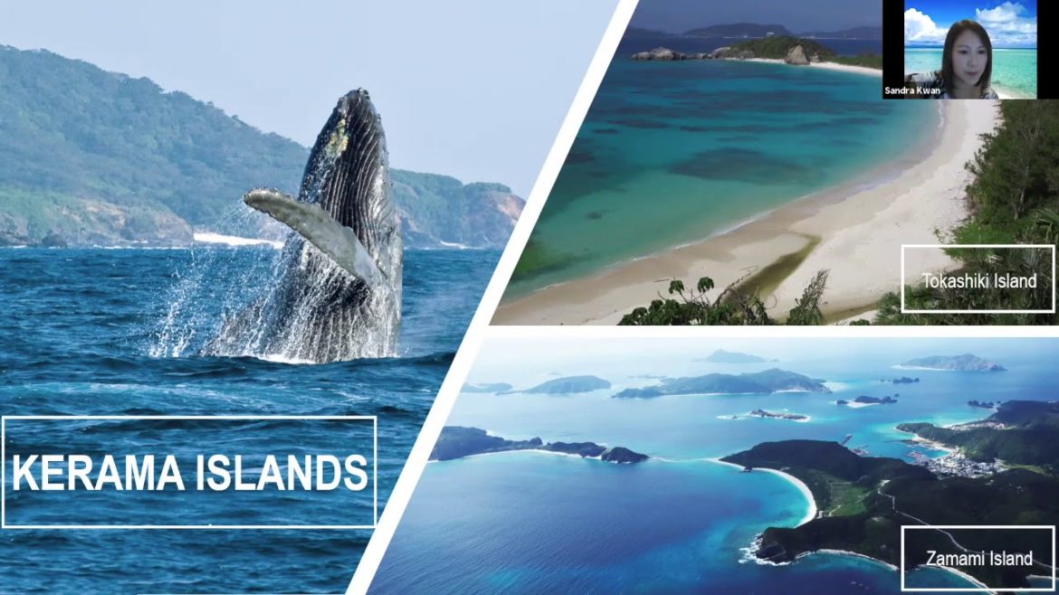 PATA Virtual Quiz 29th October: Okinawa Convention & Visitors Bureau