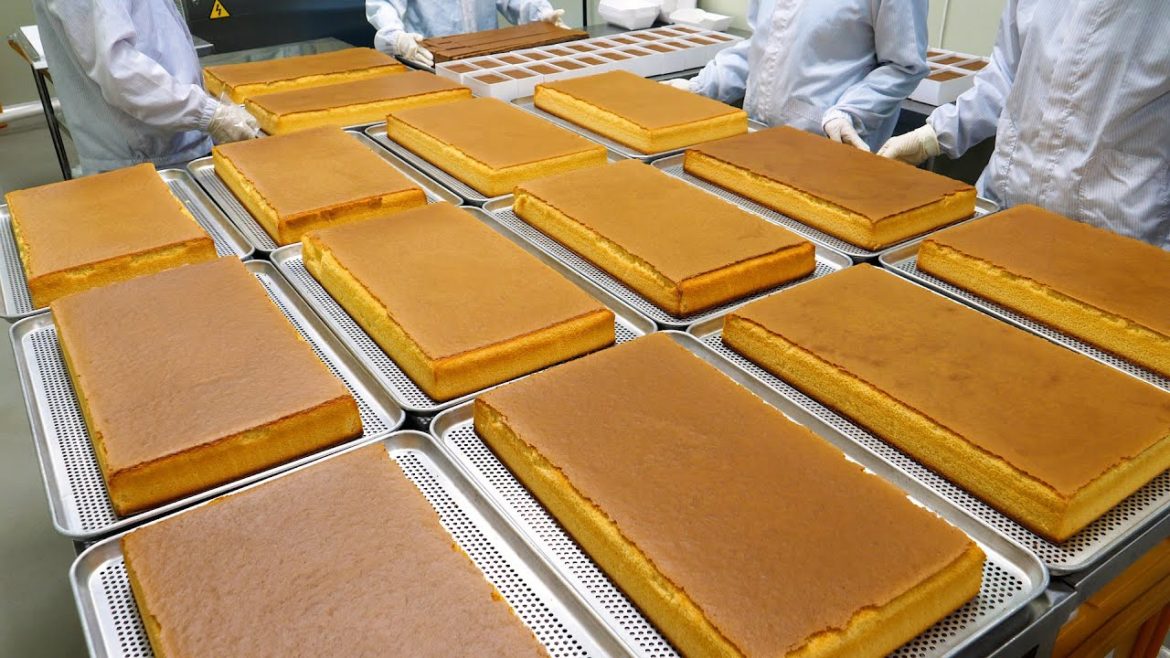 물로 빵을 자른다! 한국 빵공장의 촉촉한 쌀카스테라 대량생산 mass production! rice castella cake making process – bread factory 물로 빵을 자른다! 한국 빵공장의 촉촉한 쌀카스테라 대량생산 mass production! rice castella cake making process - bread factory