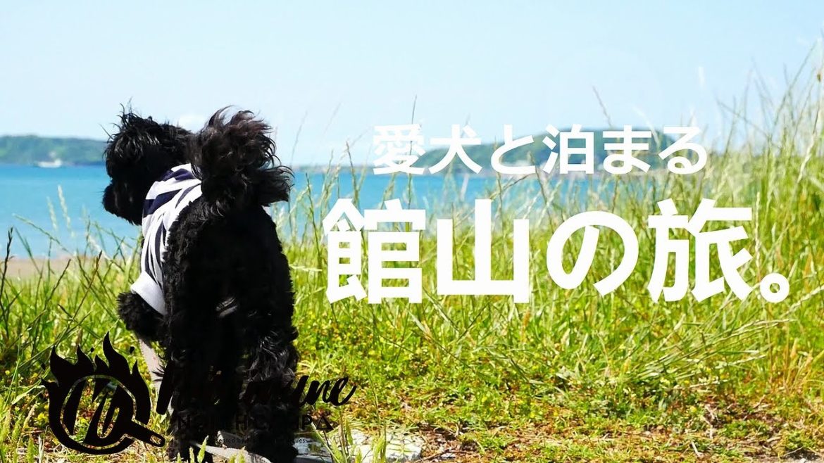 【わん's LAND 館山】ペットと泊まれるお宿で、夏の南房総 館山の旅。釣りと海とドッグランを思いっきり楽しもう! 【わん's LAND 館山】ペットと泊まれるお宿で、夏の南房総 館山の旅。釣りと海とドッグランを思いっきり楽しもう!