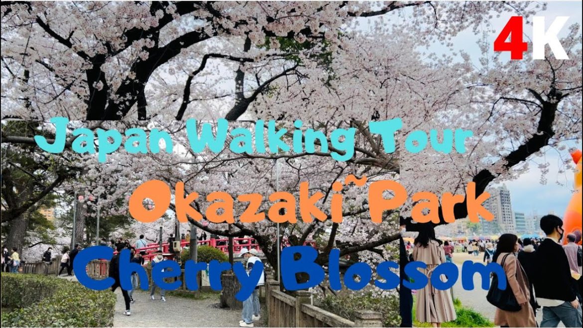[4K] Japan Walking Tour Okazaki Park Cherry Blossom