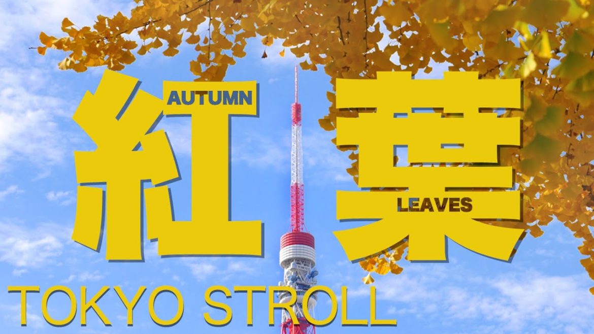 TOKYO STROLL: Fall is in full swing! Gorgeous autumn foliage spots in Tokyo