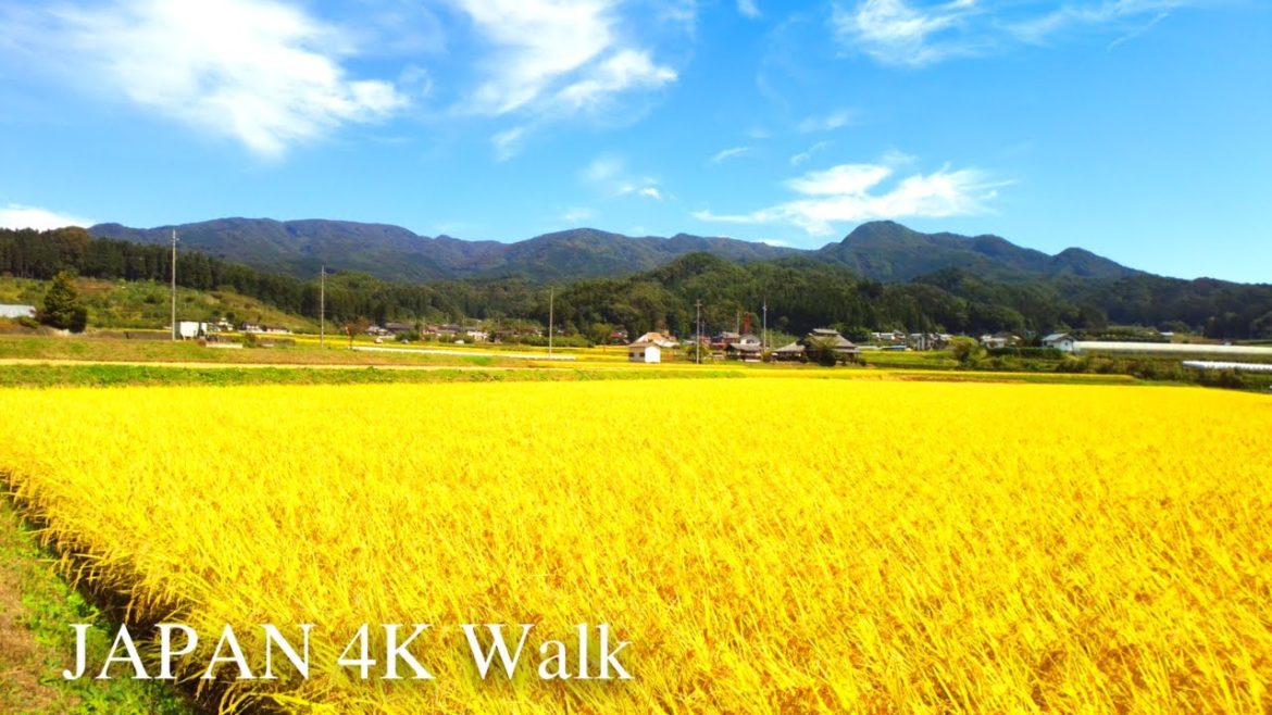 【4K】Japan Walking Tour – Rural scenery at Kawaba village 【4K】Japan Walking Tour - Rural scenery at Kawaba village