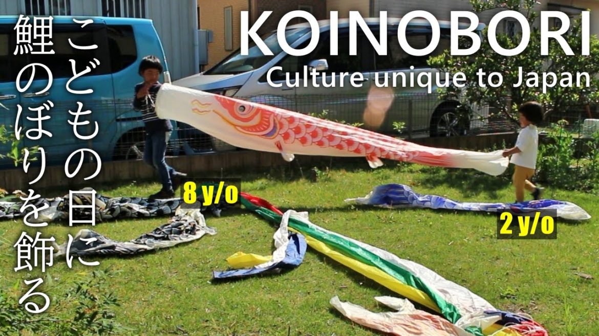 [KOINOBORI 🎏 ] Decorate a carp streamer in the garden with three sons | Japanese culture🇯🇵