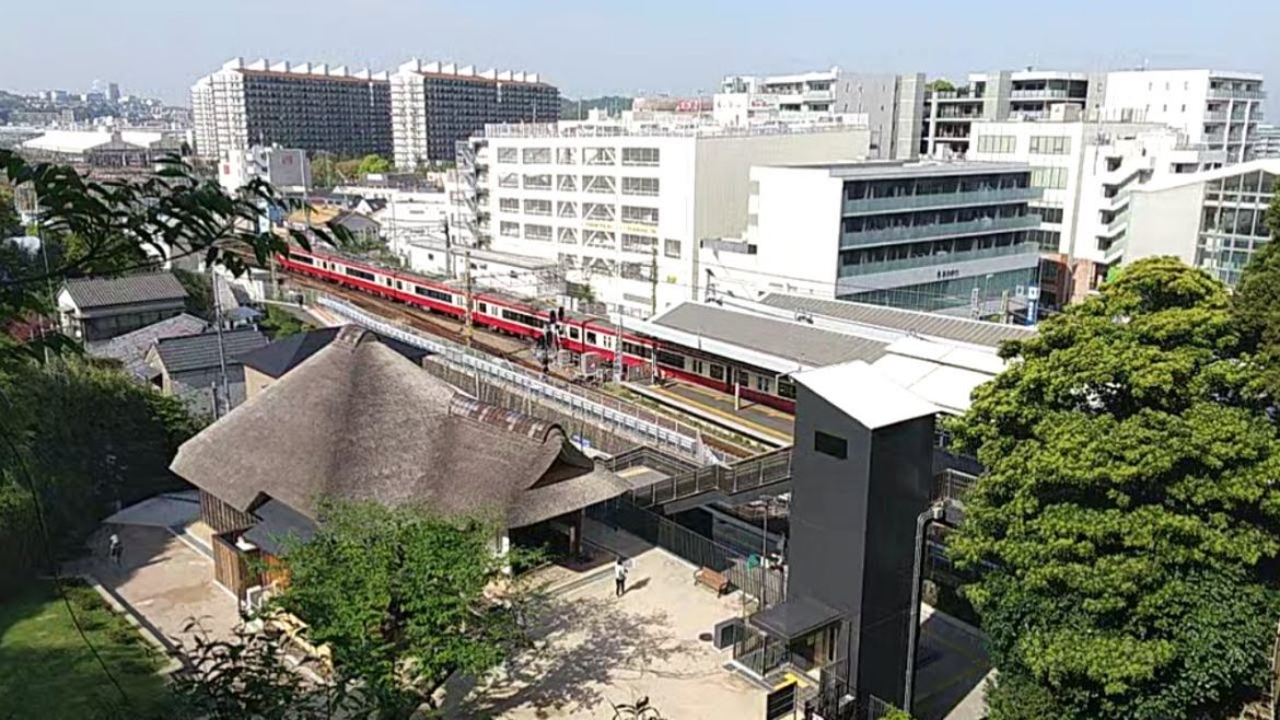 Japan Walking Tour🇯🇵 Park | Old Historic Precious House | Train