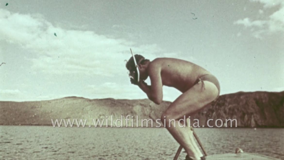 Nuclear bomb explosions around the world: Compilation of serious fire crackers in the sky! Nuclear bomb explosions around the world: Compilation of serious fire crackers in the sky!