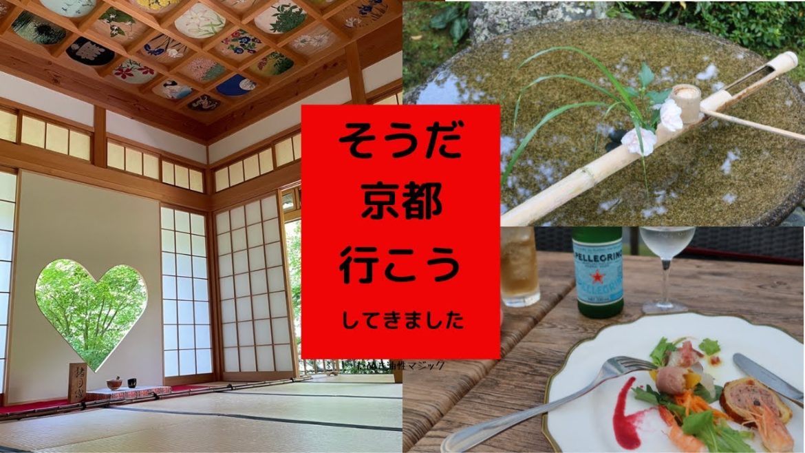 【京都】そうだ京都行こう/正寿院（風鈴寺）/瑠璃光院/圓光寺/京都おとな旅/鴨川テラス席