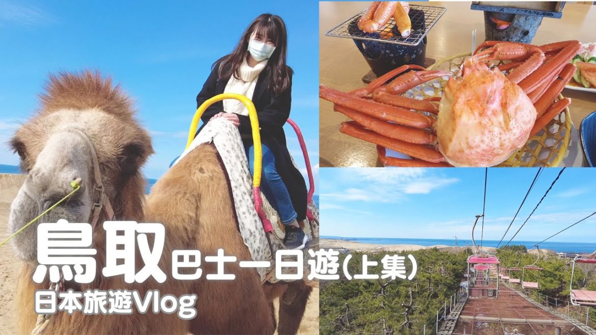 鳥取_上集|參加當地旅行團巴士之旅、滿滿一桌螃蟹大餐、沙丘奇景騎駱駝|日本旅遊vlog/Japan travel 2022 Tottori vlog 鳥取_上集|參加當地旅行團巴士之旅、滿滿一桌螃蟹大餐、沙丘奇景騎駱駝|日本旅遊vlog/Japan travel 2022 Tottori vlog
