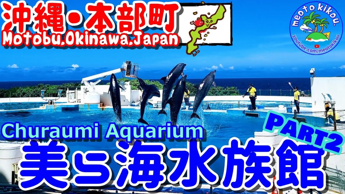 【仲良し夫婦旅】沖縄本島🌺超定番！真夏の美ら海水族館🐠満喫 Part2！沖縄本部町！《 旅行日：2022年6月下旬旅 》