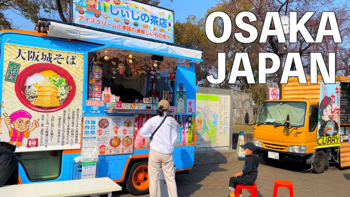 【4K】Osaka Castle Park Walking tour - Plum Bloosom 2022