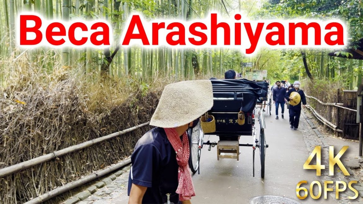 【Beca】Pengalaman menaiki beca ditarik orang di Arashiyama Menyeberangi jambatan togetsu-kyo