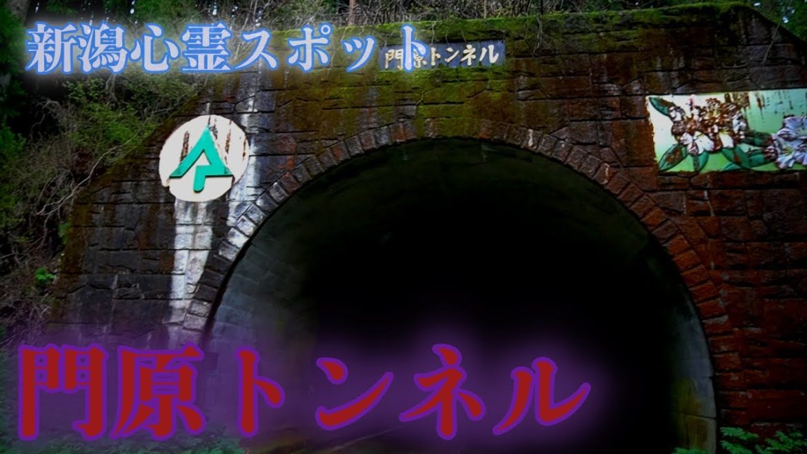【門原トンネル】新潟心霊スポット 地元の人も立ち入らない絶対に行ってはいけない場所 新潟県五泉市 This is NIIGATA 【門原トンネル】新潟心霊スポット 地元の人も立ち入らない絶対に行ってはいけない場所 新潟県五泉市 This is NIIGATA