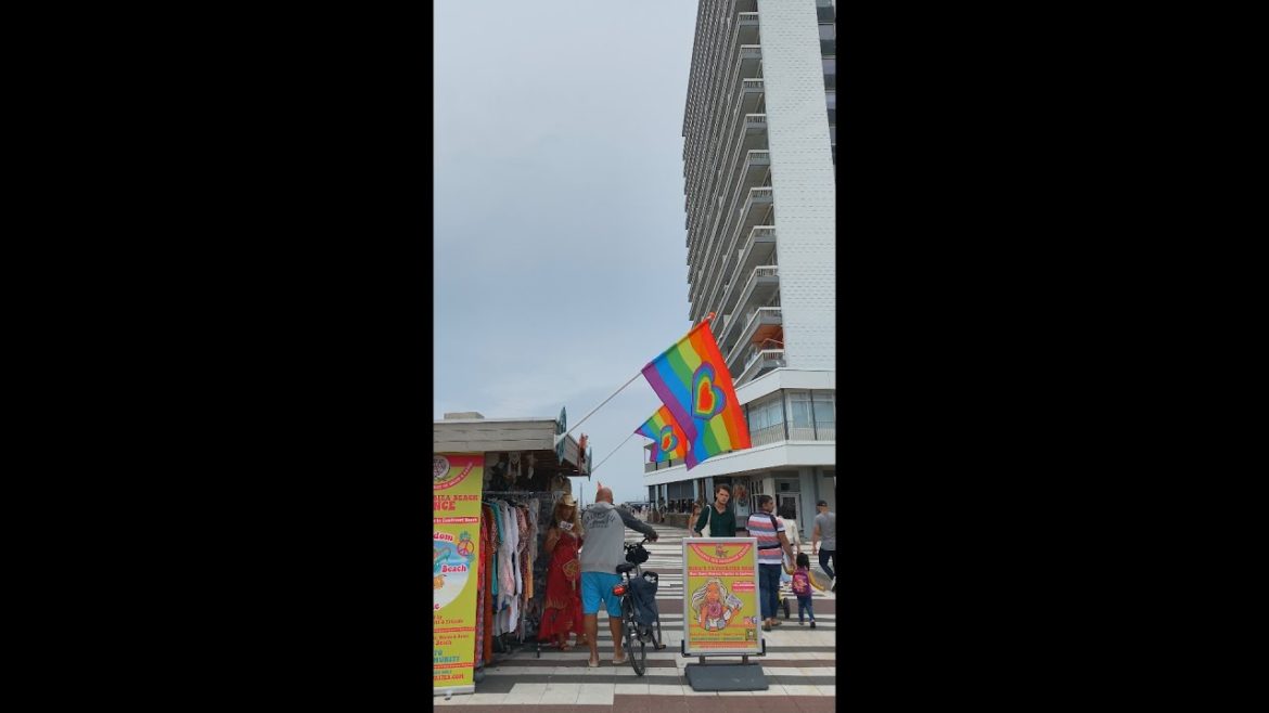 Haarlem beach in netherland, Zendvoort aan zee Strrand Haarlem || Hadi Vlog Haarlem beach in netherland, Zendvoort aan zee Strrand Haarlem || Hadi Vlog