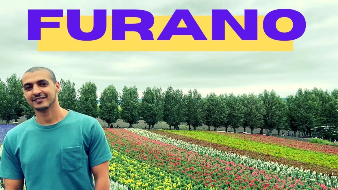Furano 2022 Farm Tomita #japan #hokkaido #furano مصرى فى اليابان