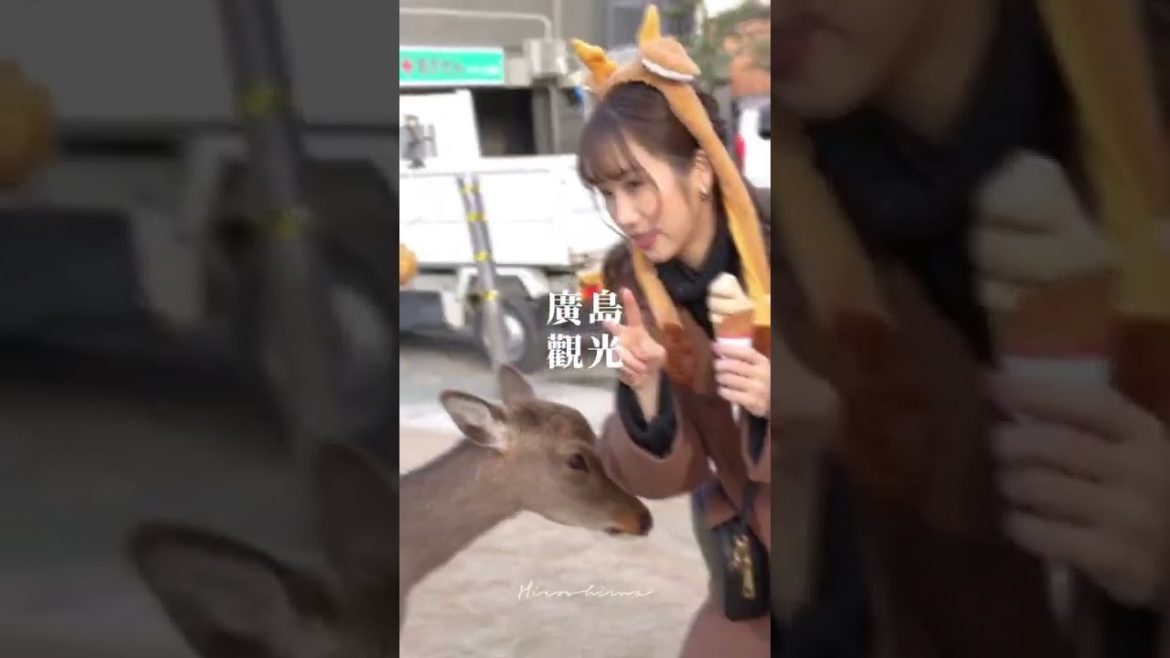 廣島觀光〜宮島、尾道、紙鶴塔,拍照打卡不停歇的絕景廣島女子旅行~ 廣島觀光〜宮島、尾道、紙鶴塔,拍照打卡不停歇的絕景廣島女子旅行~