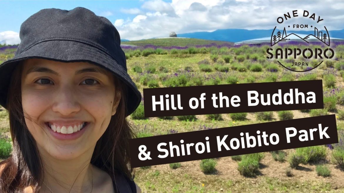 Hill of the Buddha amidst Fields of Flowers & Shiroi Koibito Park | One Day from Sapporo, Japan