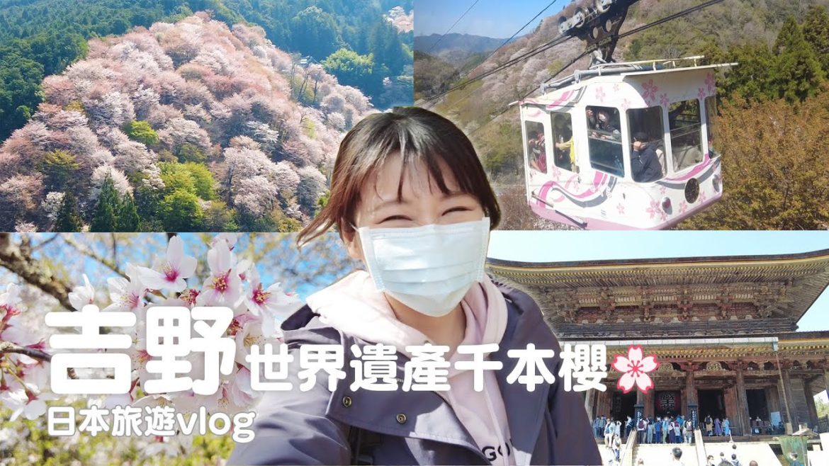 奈良|日本第一賞櫻聖地吉野山千本櫻!整座山都是世界遺產、吉水神社、藏王堂、日本最古老纜車、櫻花季|日本旅遊vlog/Japan travel 2022 Nara vlog 奈良|日本第一賞櫻聖地吉野山千本櫻!整座山都是世界遺產、吉水神社、藏王堂、日本最古老纜車、櫻花季|日本旅遊vlog/Japan travel 2022 Nara vlog