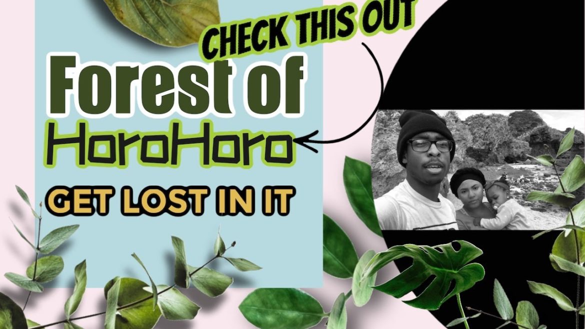 The Beauty Of Okinawa | Forest of Horohoro Hike