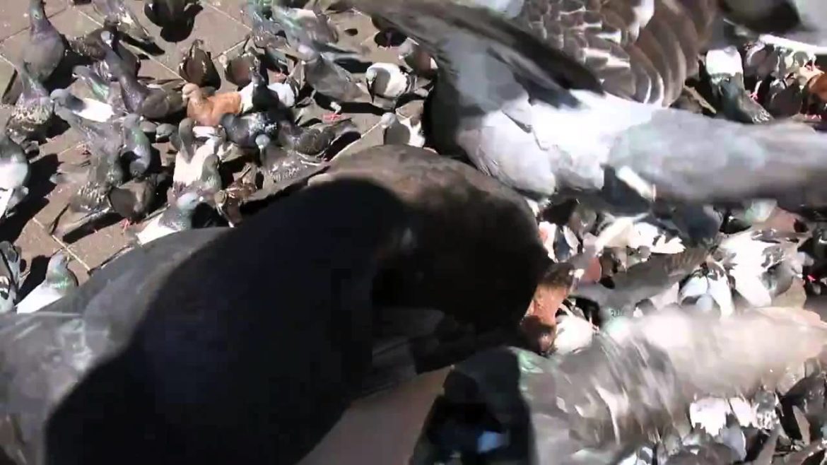 Is this park the Best Place To Be Today? – Lonely Planet Is this park the Best Place To Be Today? - Lonely Planet