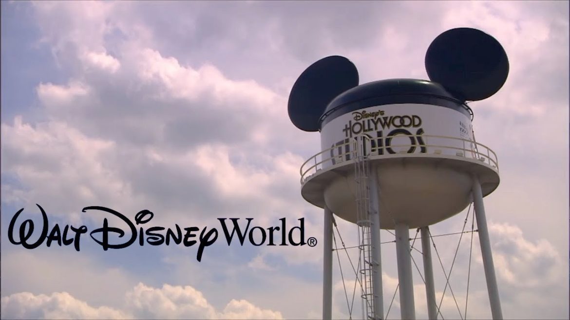 Walt Disney World Resort Sonia's Best Travel Review (2015)