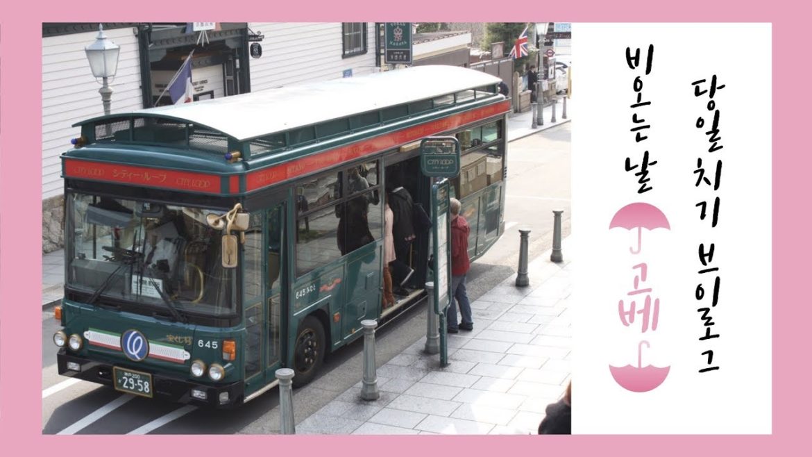 회사 동료들과 당일치기 고베여행 | Kobe trip | 여행이라는 이름의 고베맛집털기 현장습격| 神戸旅行 | 여행Vlog📹 회사 동료들과 당일치기 고베여행 | Kobe trip | 여행이라는 이름의 고베맛집털기 현장습격| 神戸旅行 | 여행Vlog📹