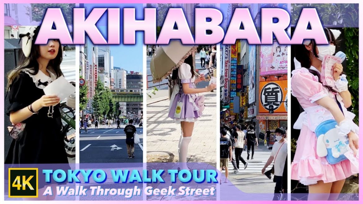 JAPAN 4K TRAVEL|Akihabara|Tokyo Walk Tour|Electronics Stores and Anime Culture of City 2022 (ASMR) JAPAN 4K TRAVEL|Akihabara|Tokyo Walk Tour|Electronics Stores and Anime Culture of City 2022 (ASMR)