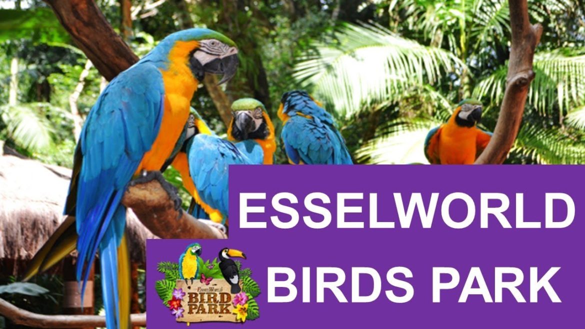 Essel World Bird Park in Mumbai I Bird Park in Mumbai I Waterkingdom I Rates I Offers I Tickets Essel World Bird Park in Mumbai I Bird Park in Mumbai I Waterkingdom I Rates I Offers I Tickets