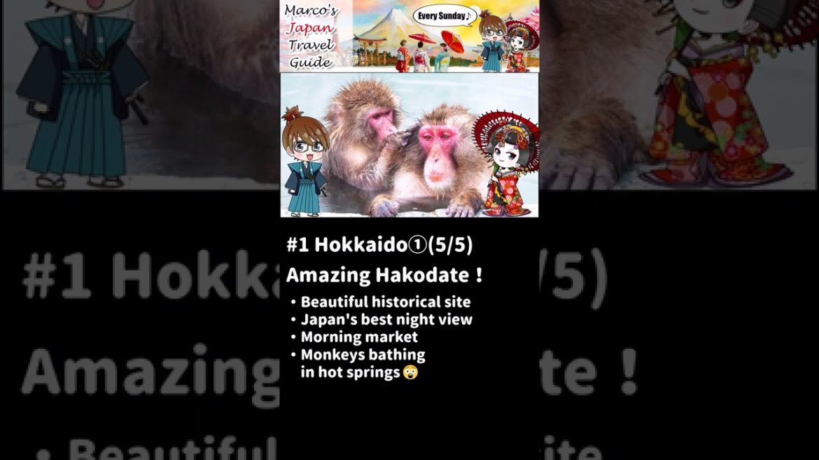 Amazing Hokkaido①(5/5) Hakodate😍 #short