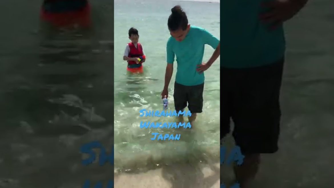 Shirahama beach. Japan.  和歌山県　白浜