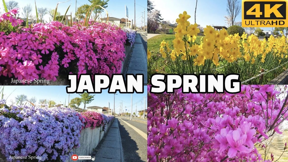 4K JAPAN SPRING – Japanes Countryside Spring life Walking Tour 2022 I Japan Walking Tour 4K JAPAN SPRING - Japanes Countryside Spring life Walking Tour 2022 I Japan Walking Tour