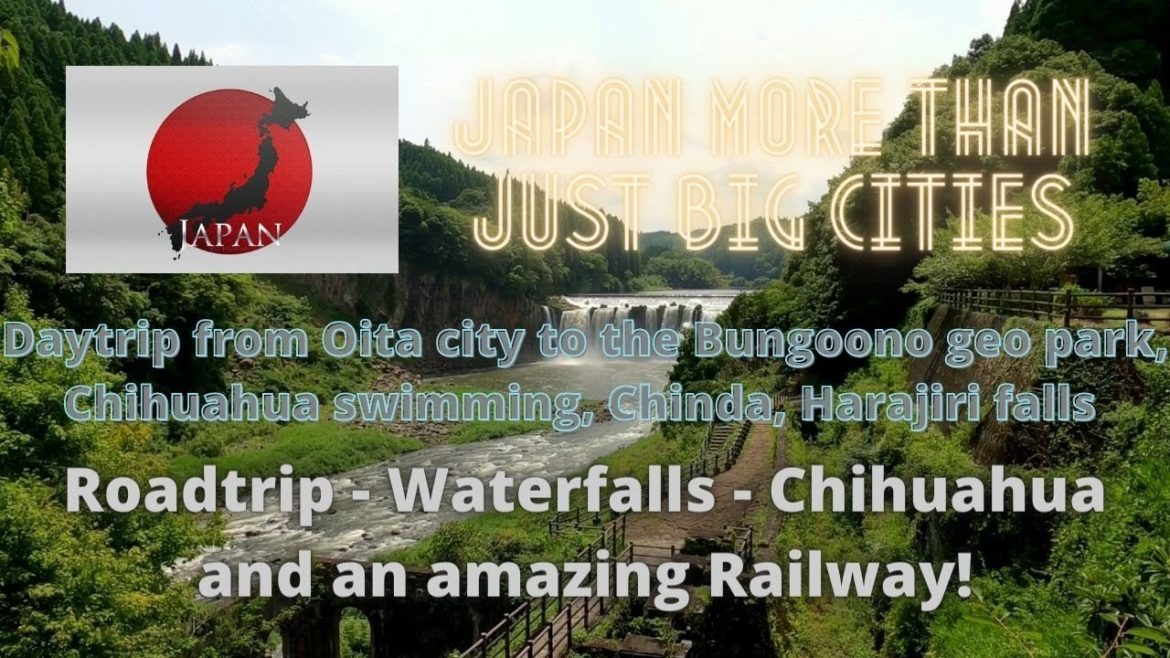 Daytrip from Oita city to the Bungoono geo park, Chihuahua swimming, Chinda, Harajiri falls  4K