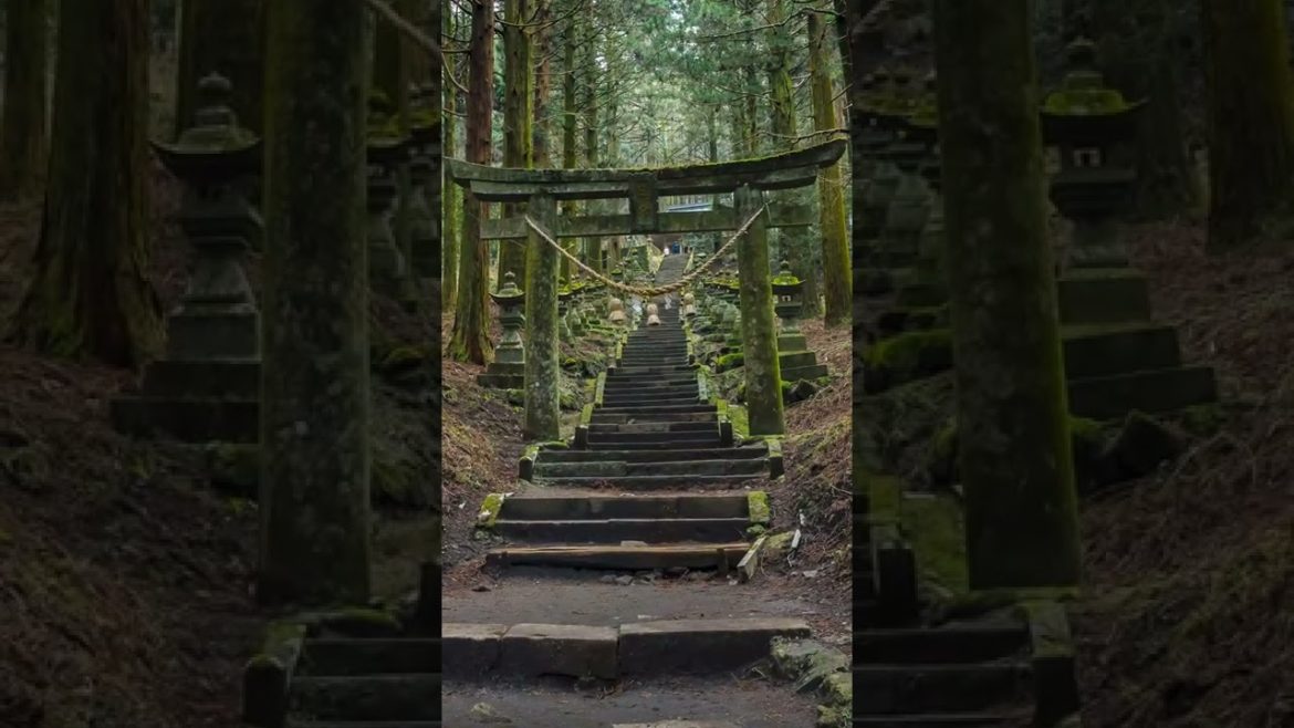 Kyushu, Japan πΎγ4Kγ#Shorts Kyushu, Japan πΎγ4Kγ#Shorts