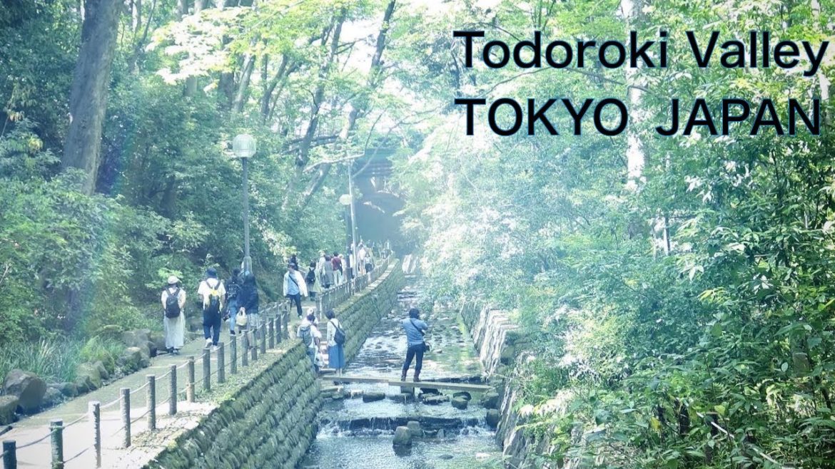 【TOKYO, JAPAN】TODOROKI VALLEY：Only valley in Tokyo　Scenery of woods, river, Japanese garden　等々力渓谷
