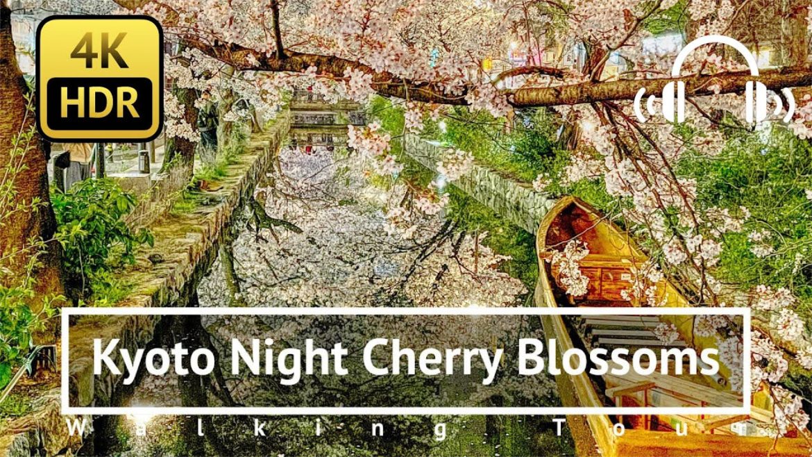 [4K/HDR/Binaural] Kyoto Gion Night Cherry Blossoms Walking Tour - Kyoto Japan
