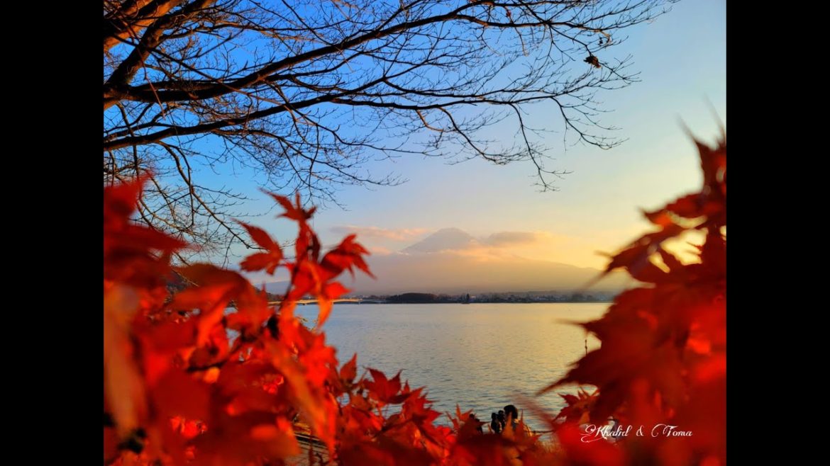 4K video of Mount Fuji from Kawaguchiko Lake , Yamanashi , Japan | 富士山 | মাউন্ট ফুজি