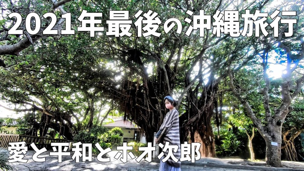 【イッキ見】2021年最後の沖縄旅行 2泊3日 VLOG sony a6300 RX100 GoPro HERO7 OKINAWA TRIP 【イッキ見】2021年最後の沖縄旅行 2泊3日 VLOG sony a6300 RX100 GoPro HERO7 OKINAWA TRIP