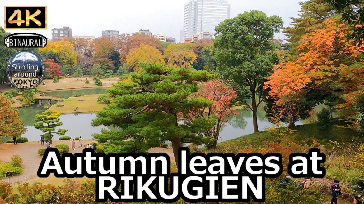 Autumn leaves at RIKUGIEN - 4K Tokyo Japan