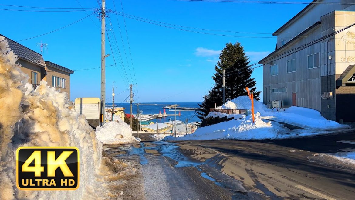 Hokkaido Hiroo(広尾)|Japan Walking Tour【4K】 Hokkaido Hiroo(広尾)|Japan Walking Tour【4K】