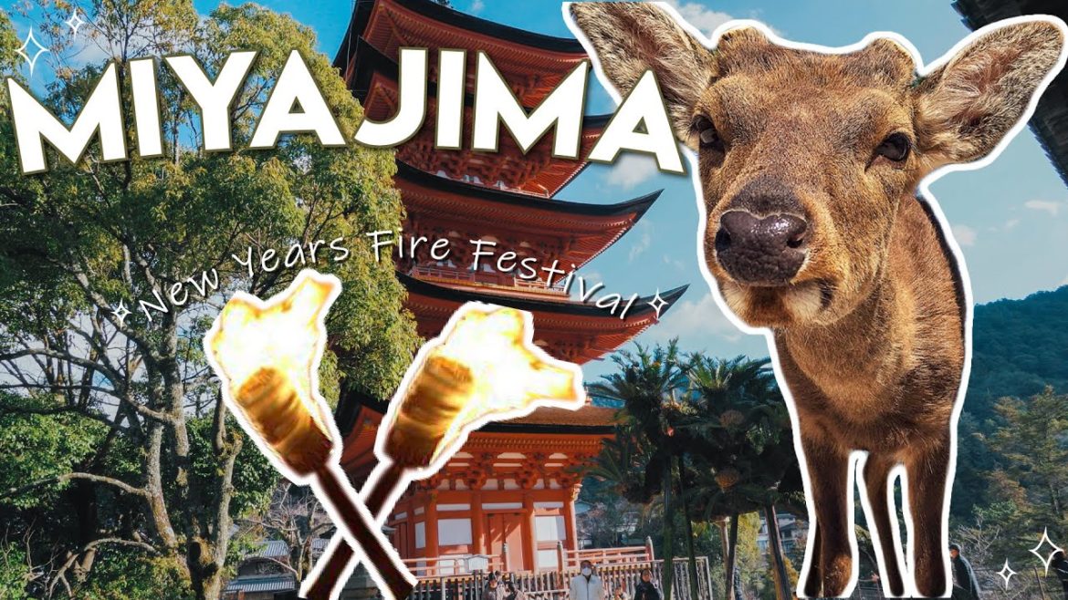 MIYAJIMA 🍁 | INSANE FIRE FESTIVAL & FRIENDLY DEER | News Years in Japan MIYAJIMA 🍁 | INSANE FIRE FESTIVAL & FRIENDLY DEER | News Years in Japan