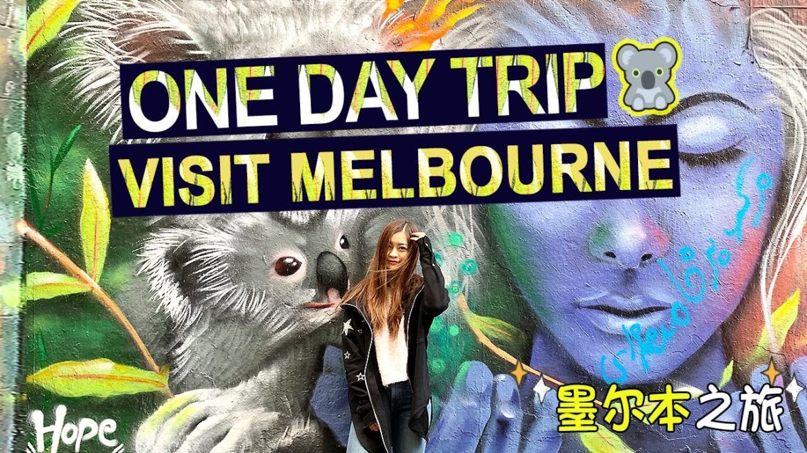 🐨 MELBOURNE VLOG 🐨 PERFECT ONE DAY TRIP! - Looking for Kobe in Laneway. 墨尔本寻找科比之旅