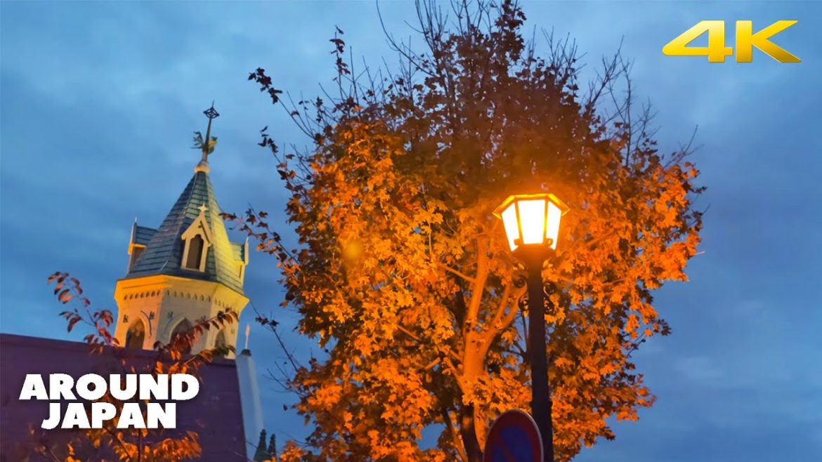 🇯🇵 Hokkaido Walk - Hakodate City [reupload]・4K