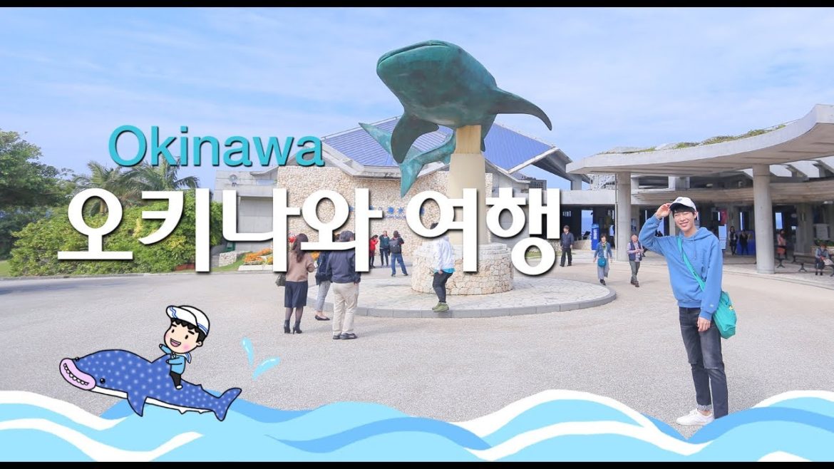 남자 둘, 오키나와 여행 ★ OKINAWA TRIP WITH FRIEND
