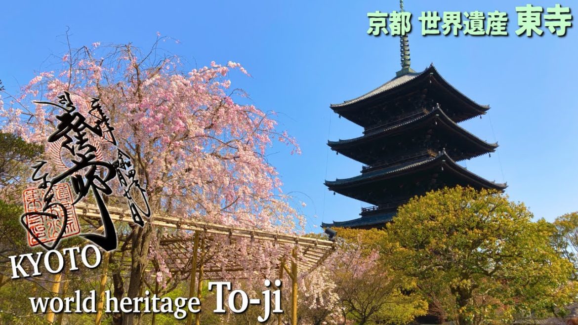 To-ji Temple | Japan, Kyoto, world heritage, travel, trip, vlog To-ji Temple | Japan, Kyoto, world heritage, travel, trip, vlog
