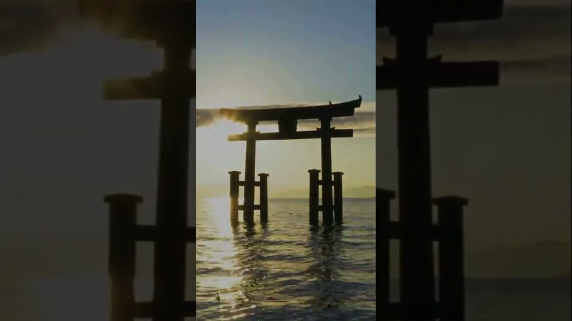 Best Places to Visit in Japan  #shorts #travel #amazing #tokyo #japan