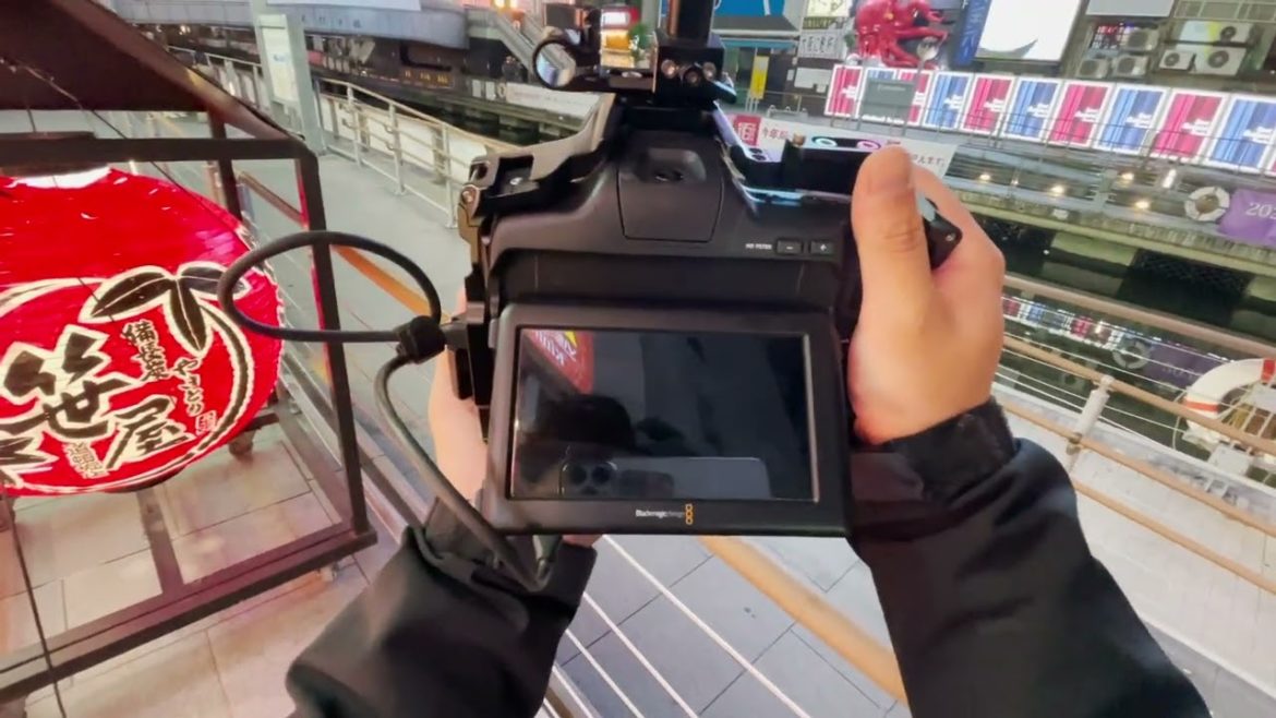 Japan Osaka Travel  | The Fifer Boy and Cat Japan Osaka Travel  | The Fifer Boy and Cat