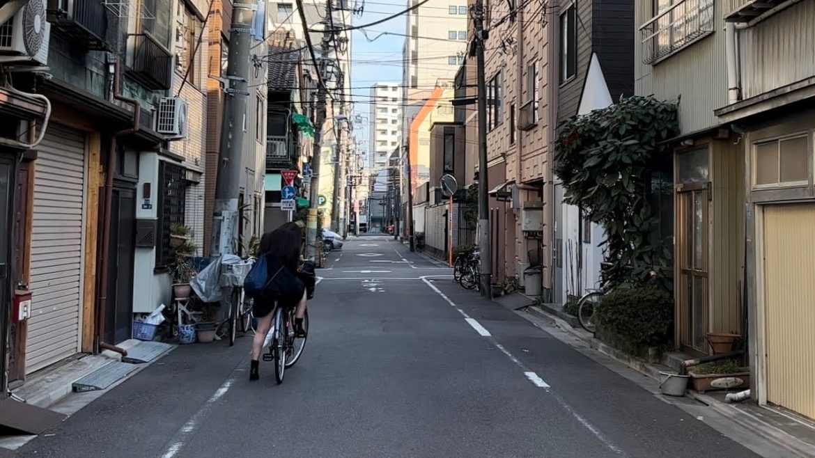 [4K HDR] UENO TOKYO JAPAN Old Alley 東京上野Walking Tour