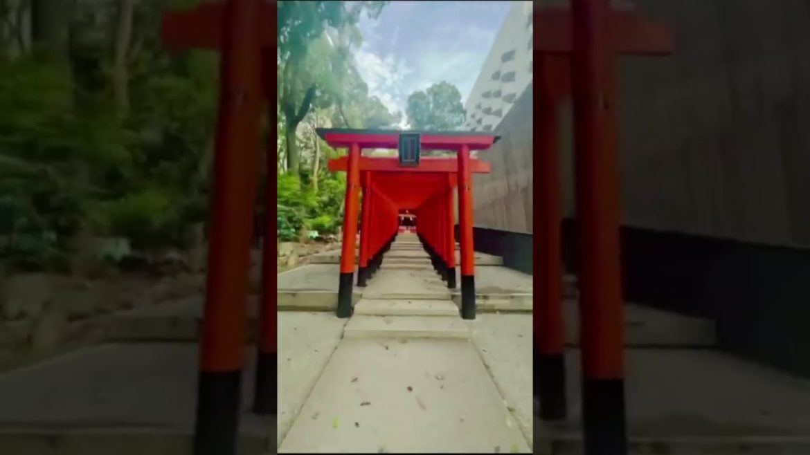 Best Places to Visit in Japan  #shorts #travel #amazing #tokyo #japan